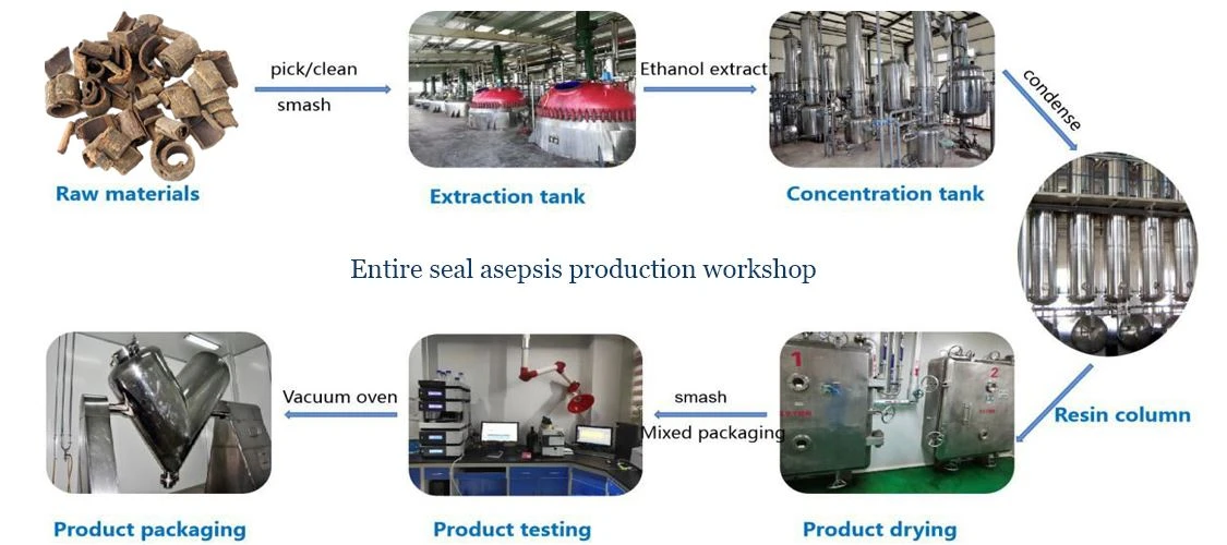 Product process of magnolia bark extarct powder by Botanical Cube Inc.