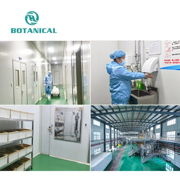Fisetin Powder factory