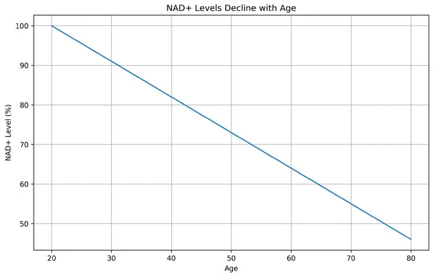 NAD Levels Decline with Age NAD Levels Decline with Age