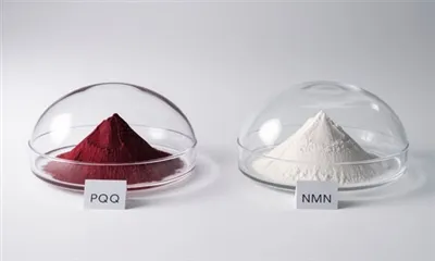 ความแตกต่างระหว่าง NMN และ PQQ คืออะไร?