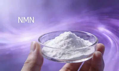 อาหารเสริม NMN ที่ดีที่สุดคืออะไร?